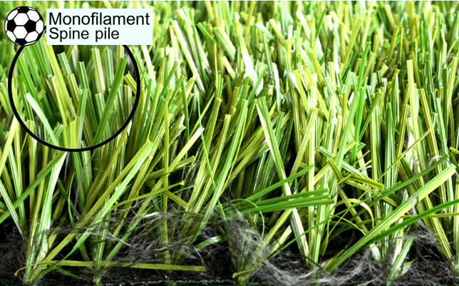 หญ้าเทียม มีแกนกลาง