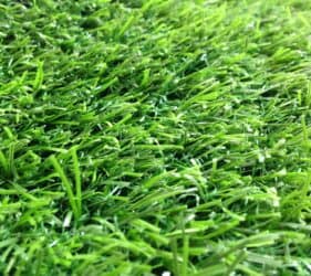 2014 07 16 13.04.57 scaled