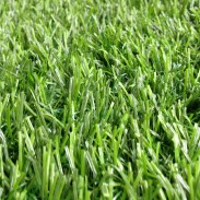 หญ้าเทียม GT-L102P