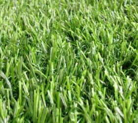 หญ้าเทียม GT-L102P