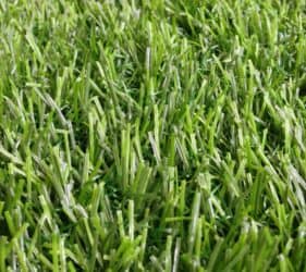 2014 07 16 13.07.55 HDR scaled