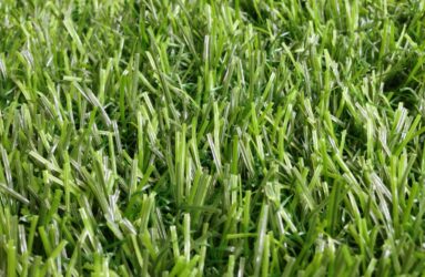 2014 07 16 13.07.55 HDR scaled