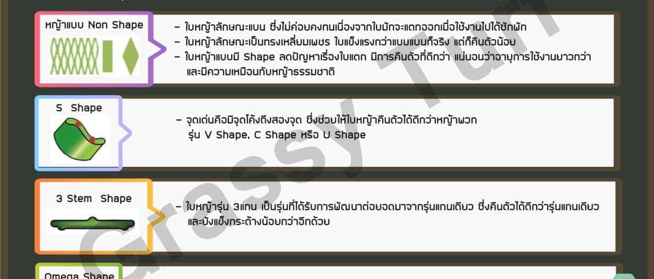 ลักษณะหญ้าเทียม