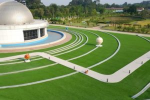 หญ้าเทียมตกแต่ง