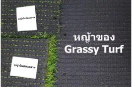 คุณภาพด้านหลังหญ้าเทียม
