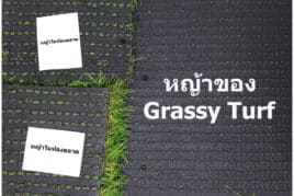 ไม่ใช่แค่ด้านหน้า ด้านหลังก็ต้องใส่ใจ!