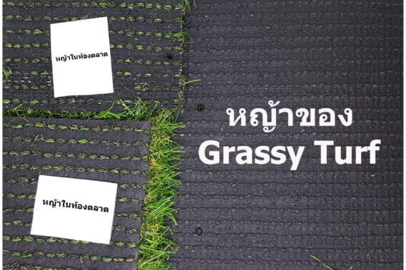 ไม่ใช่แค่ด้านหน้า ด้านหลังก็ต้องใส่ใจ!