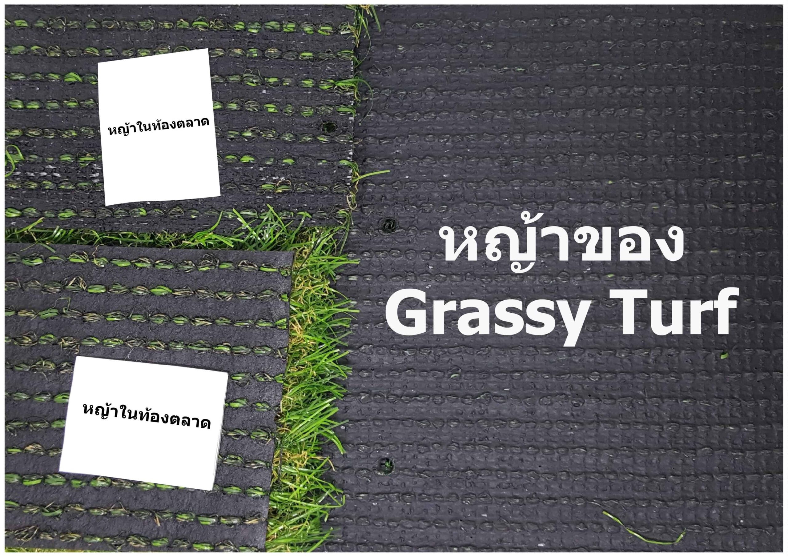 ไม่ใช่แค่ด้านหน้า ด้านหลังก็ต้องใส่ใจ!