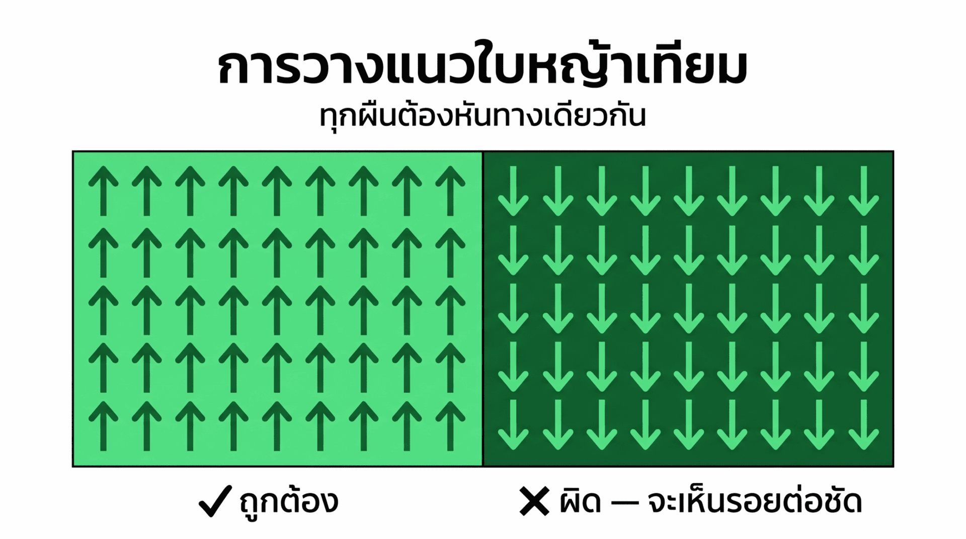 Diagram แสดงทิศทางใบหญ้าเทียมที่ถูกต้อง ใบหญ้าต้องหันทางเดียวกันทุกผืน