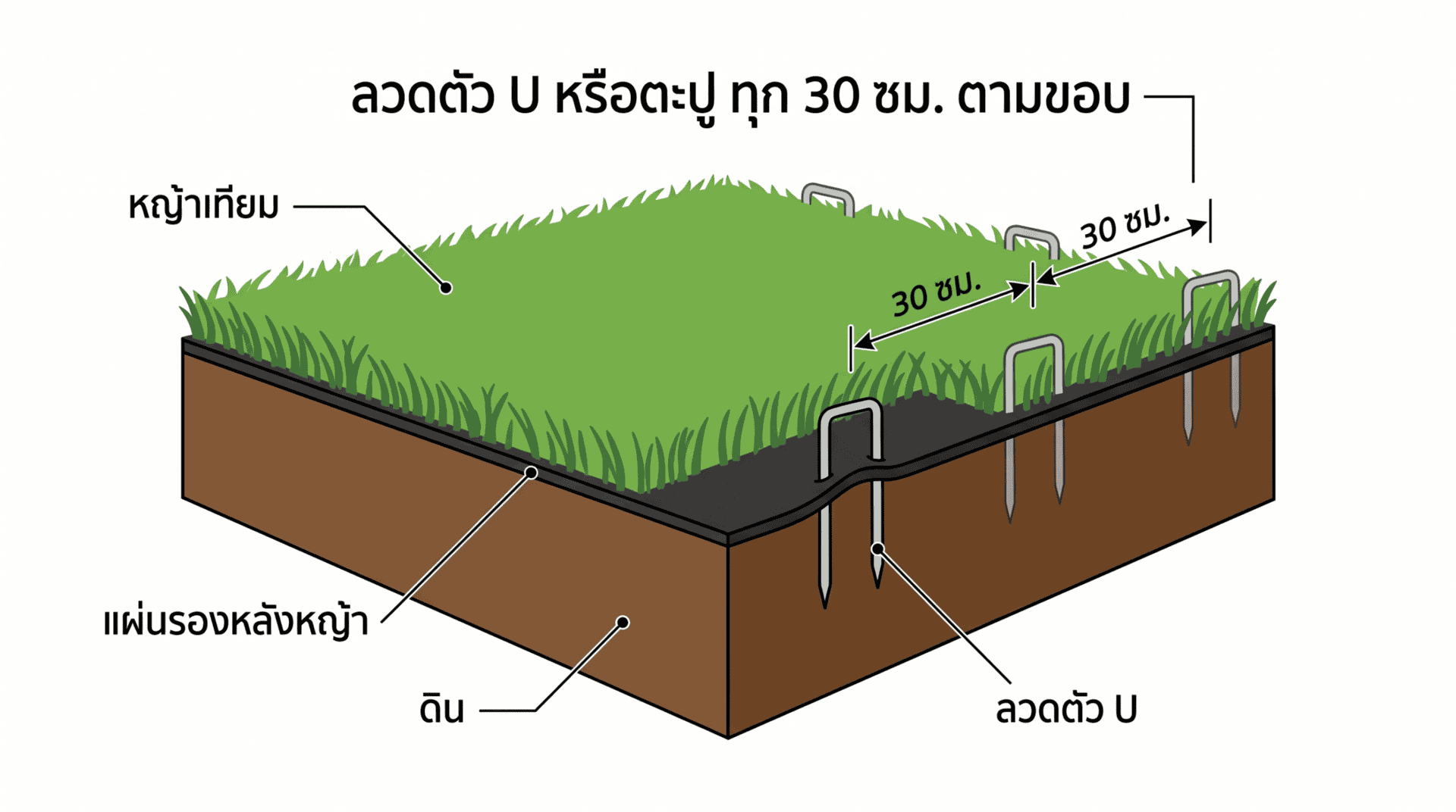 Diagram การใช้ลวด U ยึดขอบหญ้าเทียมบนพื้นดิน ระยะห่างทุก 30-50 ซม.