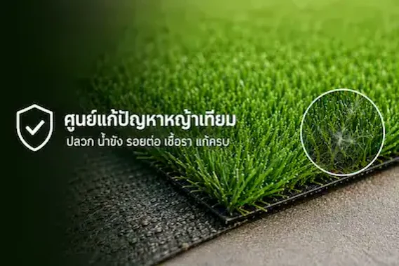 ศูนย์แก้ปัญหาหญ้าเทียม